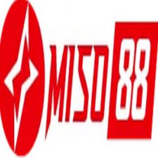 Profile picture of Miso88