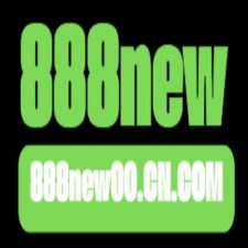 Profile picture of 888new00 cn com