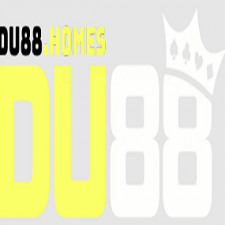 Profile picture of DU88