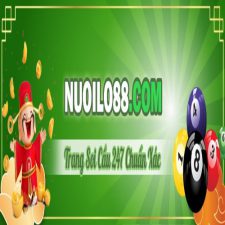 Profile picture of Nuoilocom