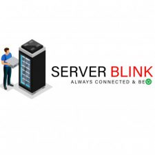 Profile picture of Server Blink
