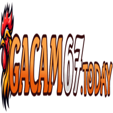 Profile picture of Gacam67 today