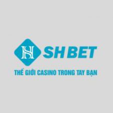 Profile picture of shbet