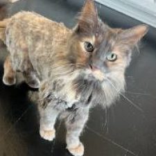 Profile picture of Emalyn Colunga