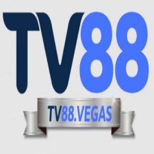 Profile picture of tv vegas