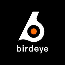 Profile picture of Birdeye