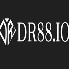 Profile picture of Dr88 io