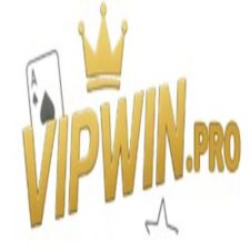 Profile picture of Vipwin pro
