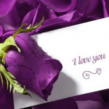 Profile picture of Cielie