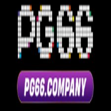 Profile picture of pg66 company