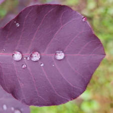 Profile picture of Jonna