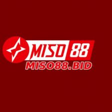 Profile picture of Miso88 bid