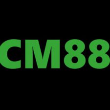 Profile picture of CEO