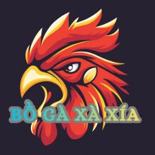 Profile picture of bồ gà xà xía