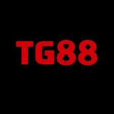 Profile picture of TG