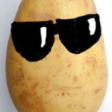 Profile picture of Akash