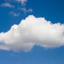 Profile picture of Motti Gerchikov