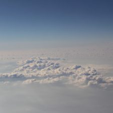 Profile picture of daniashoman