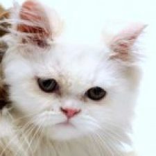 Profile picture of Nataly