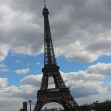 Profile picture of Maya Torem