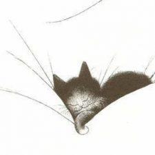 Profile picture of RAFFAELA SERRANI