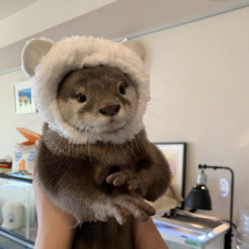 Profile picture of Kristina Kabanova