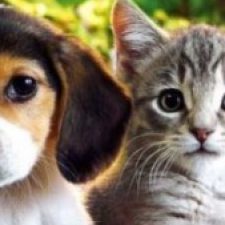 Profile picture of Maksimiliyana