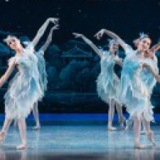 Profile picture of kamar samara samara