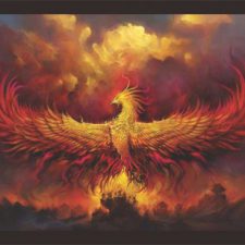 Profile picture of Arel