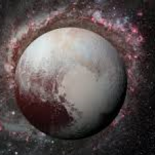 Profile picture of silvia paparone