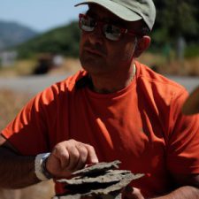 Profile picture of fdanas