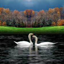 Profile picture of Rogab Khnefiss