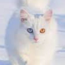 Profile picture of Kristyan