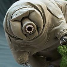 Profile picture of Libby