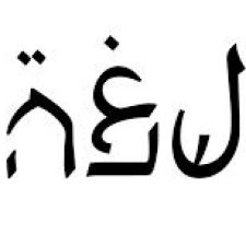 Profile picture of noel