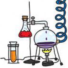 Profile picture of Veselina Gercheva