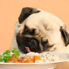 Profile picture of Delina Paunova