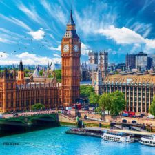 Profile picture of sara