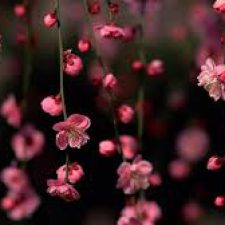 Profile picture of Rita