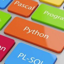 Profile picture of RASHA FARS