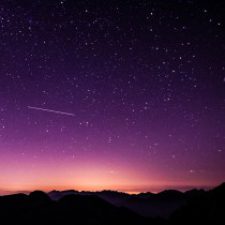 Profile picture of Betül