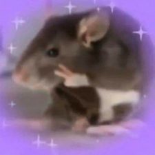 Profile picture of Büşra Çiftçi