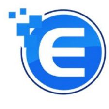 Profile picture of enterslice advisory