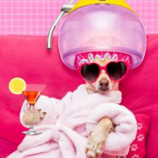 Profile picture of samuele