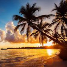 Profile picture of Anhar massri