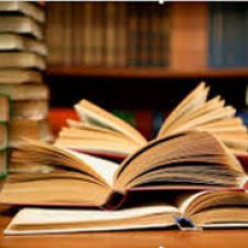 Profile picture of dganit