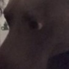 Profile picture of kael ruggeri